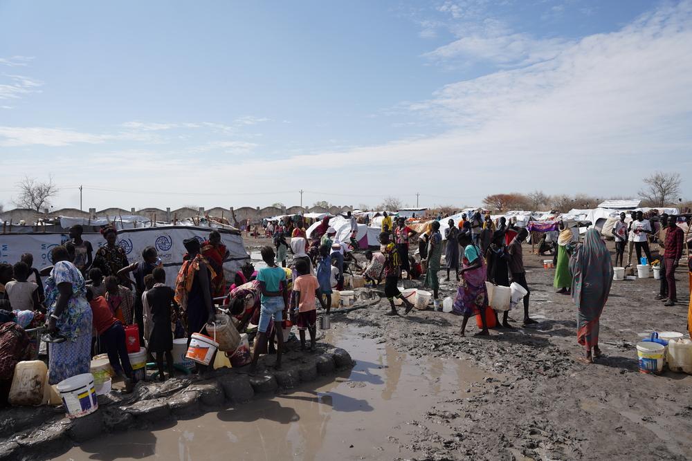 Des personnes déplacées du Soudan en raison du conflit vont chercher de l'eau au centre de transit de la ville de Renk, dans l'État du Haut-Nil, au Sud-Soudan. Juin, 2023 © Nasir Ghafoor/MSF