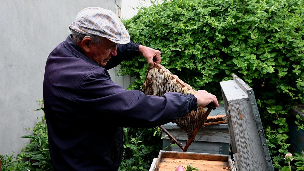 Anatoliy Andrievskyi, 74, who has lived in Myrolyubivka all his life, takes part in the care of bees as part of psychological sessions, which help local residents to combat anxiety and the effects of stress. 