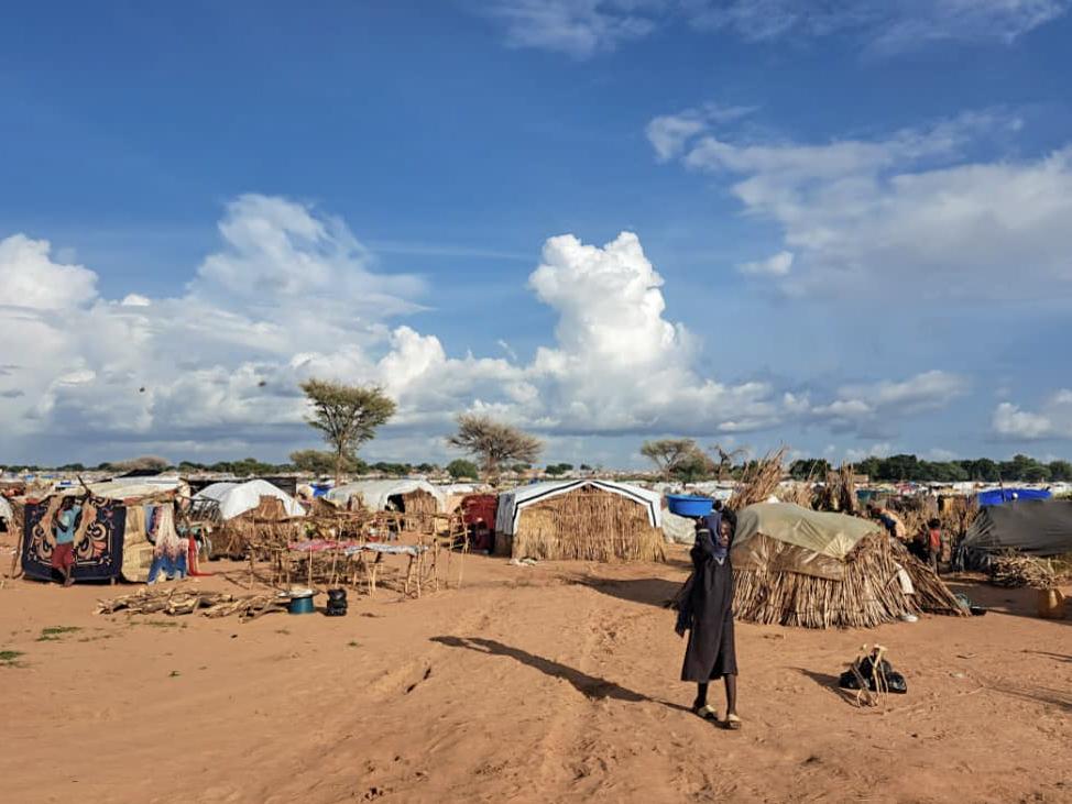 Des structures temporaires sont mises en place dans le Camp Ecole, qui accueille 150 000 réfugiés, avant qu&#039;ils ne soient relogés dans des camps permanents. 